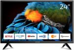 DYON Smart 24 XT 60 cm (24 pulgadas) TV (HD Smart TV, HD Triple Sintonizador