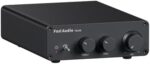 Fosi Audio TB10D 600 vatios TPA3255 Mini amplificador de potencia HiFi estéreo